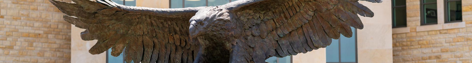 Photograph: Statute of bronze eagle outside Washburn University School of Law.
