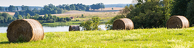 Photographs: Hay bales in field.