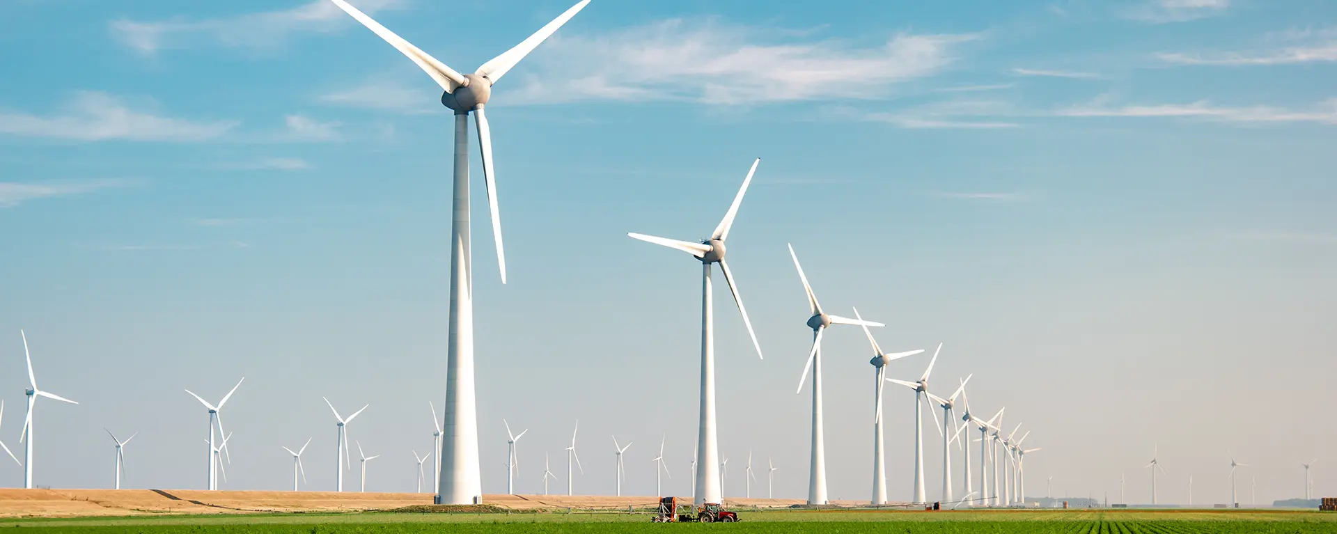 A windmill farm on a clear blue day. 