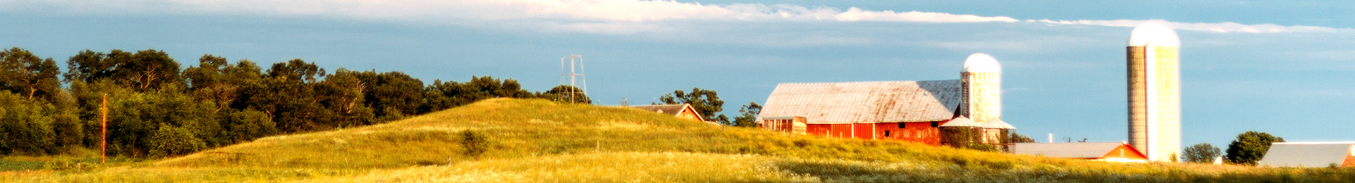 Photograph: Barn in field.